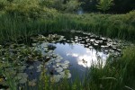  (Soest Duinen)   Soest